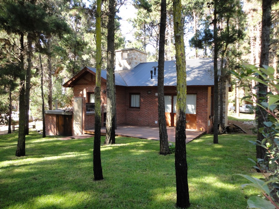 Casa Antü Pewen - Imagen 6